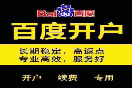 百度推广效果评估与持续优化——某行业案例研究